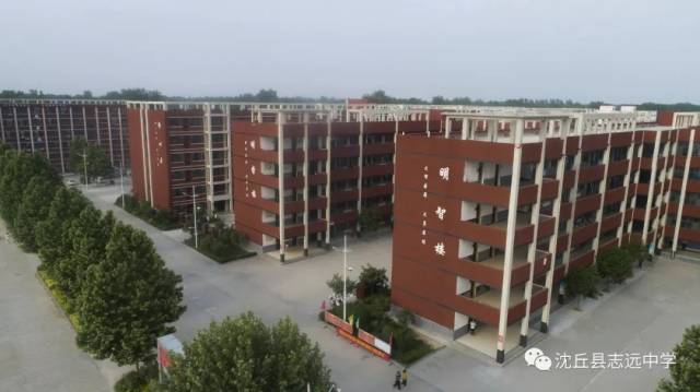 梧桐成排,就等您来——志远中学招聘教师启事