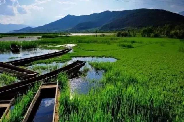宁蒗青龙海湿地,水色清澈明亮,湖周苍松翠柏环绕,湖面终年白云覆盖,有