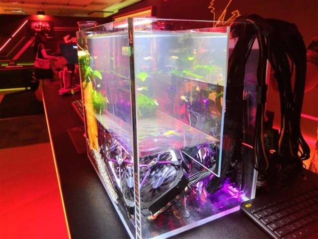 技嘉在展台上摆放了一个鱼缸,其中底部是矿物油,其中浸泡着一块技