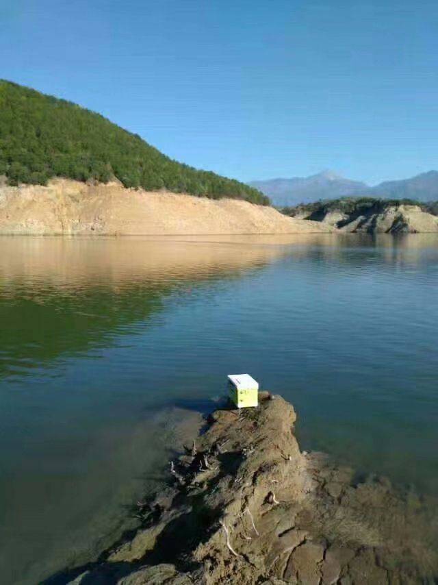 進水口,水庫大壩盡頭的轉彎處, 岸邊比較深的大樹下,下風口,靠近農