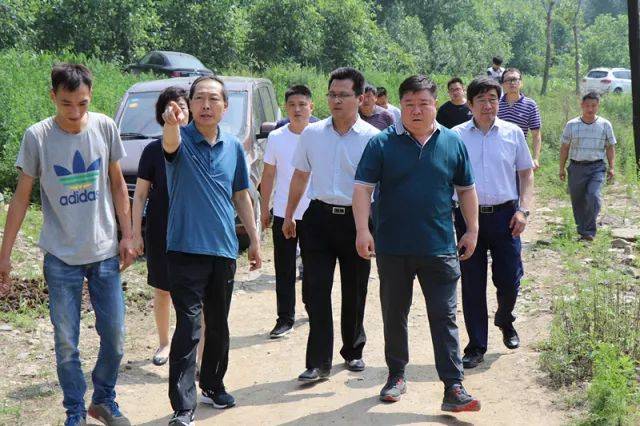 中央环保督察"回头看"在邢台县