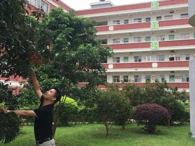 【主题教育】挂绿小学开展"挂绿荔果齐分享"教育活动