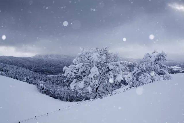 雪花飘飘,哇~夏天下雪了