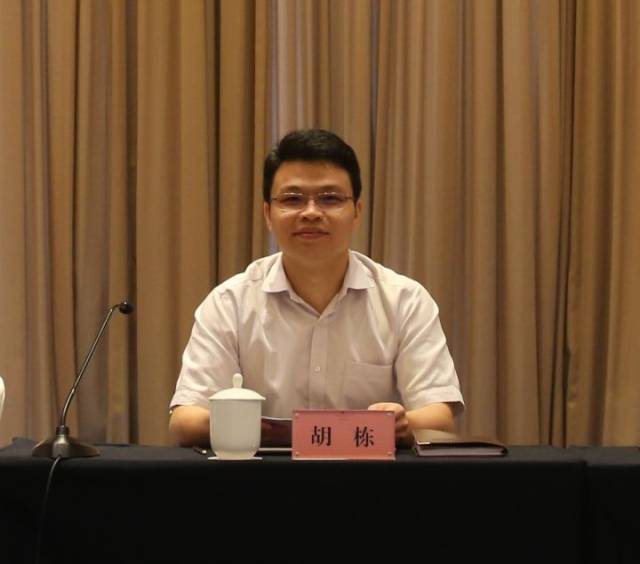 共青团重庆市委副书记,重庆市少工委主任胡栋及中国