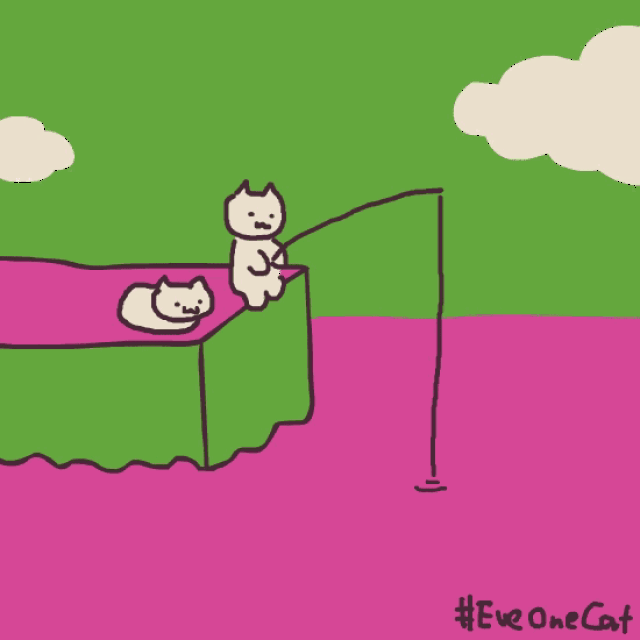 这只沙雕猫的动图,我能看一天-搞笑频道-手机搜狐