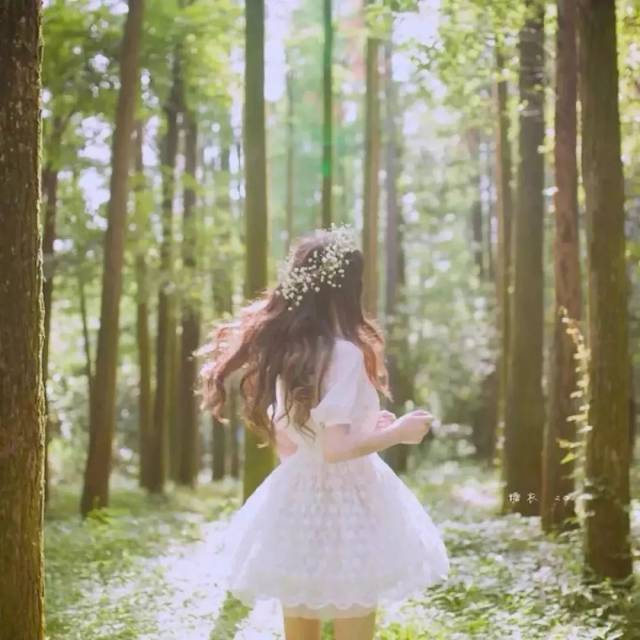 精选女生唯美背影头像