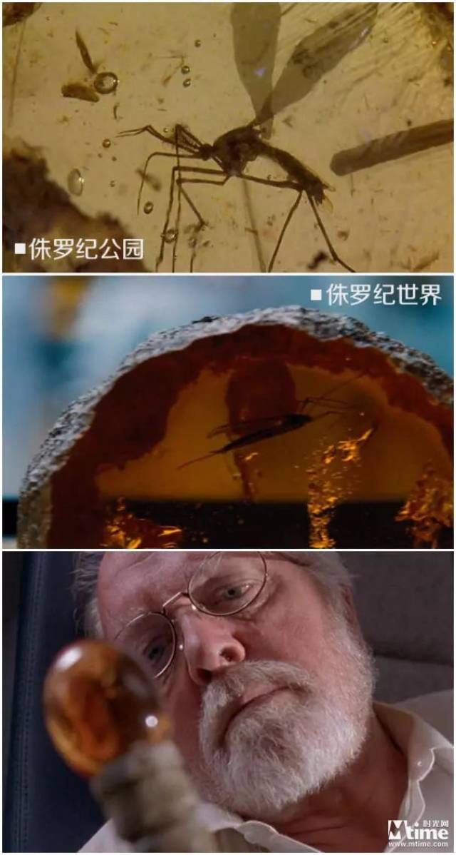 《侏罗纪世界2》,这些彩蛋你get到了吗?