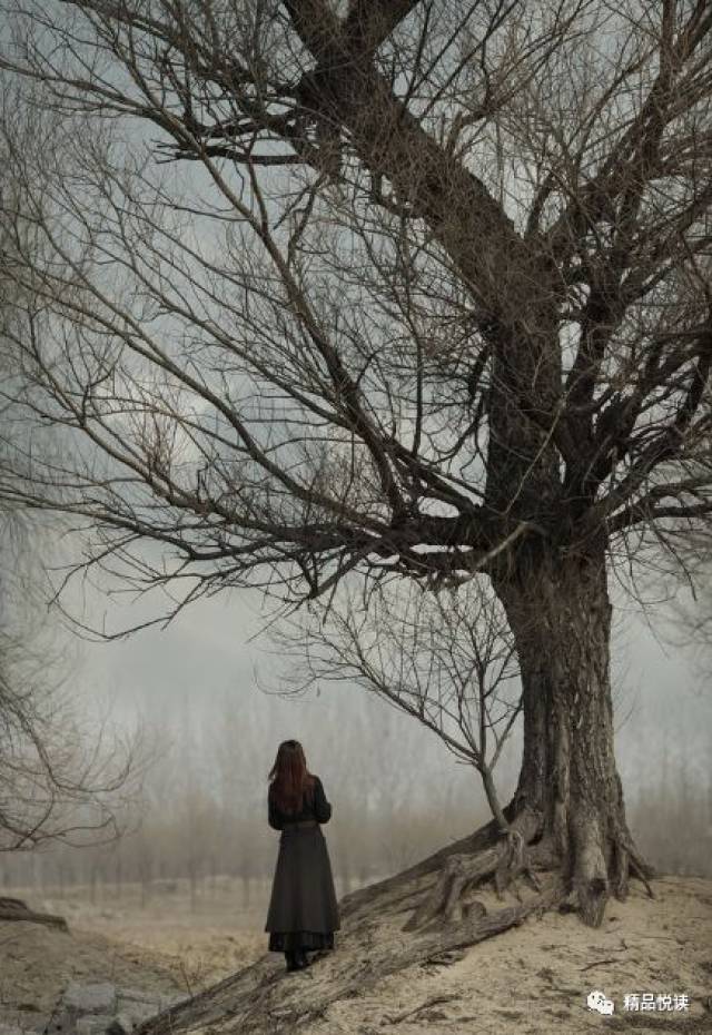 一棵树一个人孤单图片