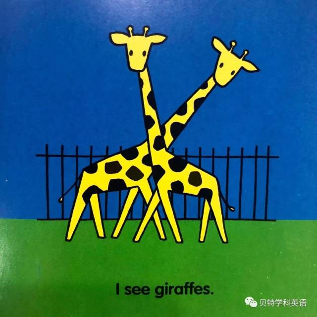 i see giraffes 我看见长颈鹿