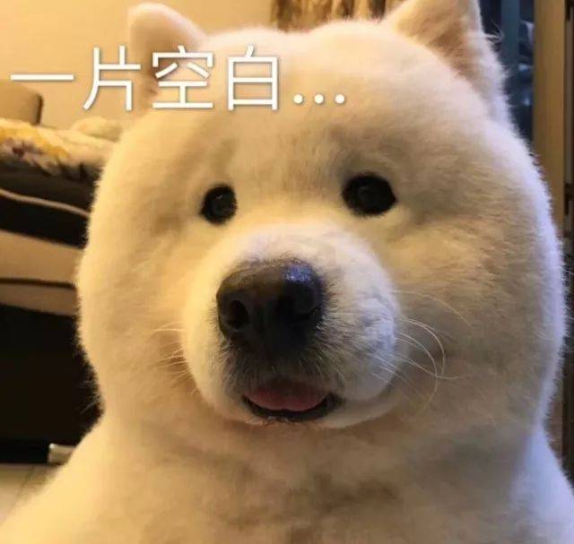 你的好名字在韩国人眼里是只鸡