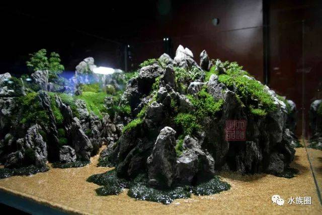 青龙石水陆缸,松皮石水陆缸,40缸青龙石造景(第12页)_大山谷图库
