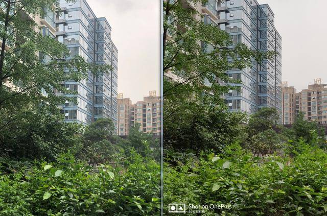 直接把光学变焦之后的样张放大,在噪点控制方面苹果iphone x的噪点