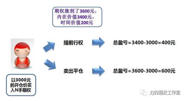 期权手续费解析——投资选择的关键支点