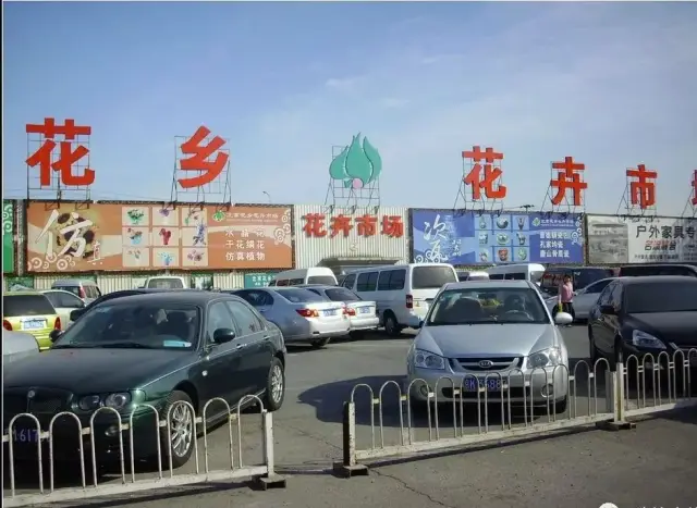 北京花乡花卉市场新址图片