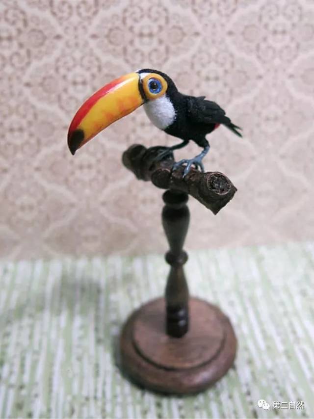 大嘴鸟有自己的站架