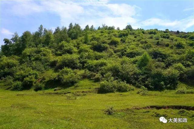 和政县买家集镇石咀村黄松沟景区 主办:黄松沟景区管理站 协办:和政县