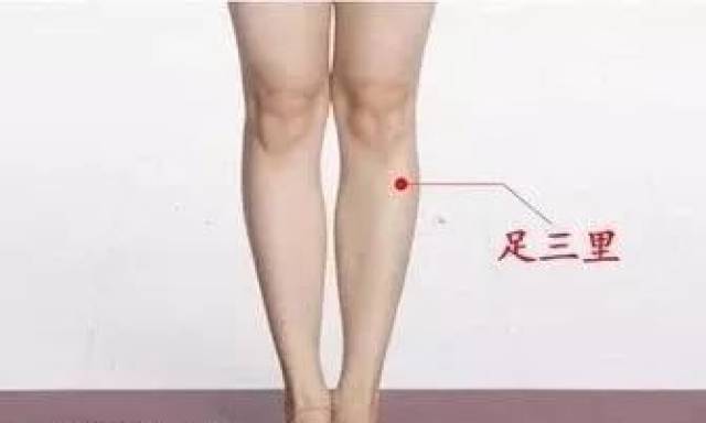 按了十年体质无改善,你可能揉的是假"足三里"_手机搜狐网