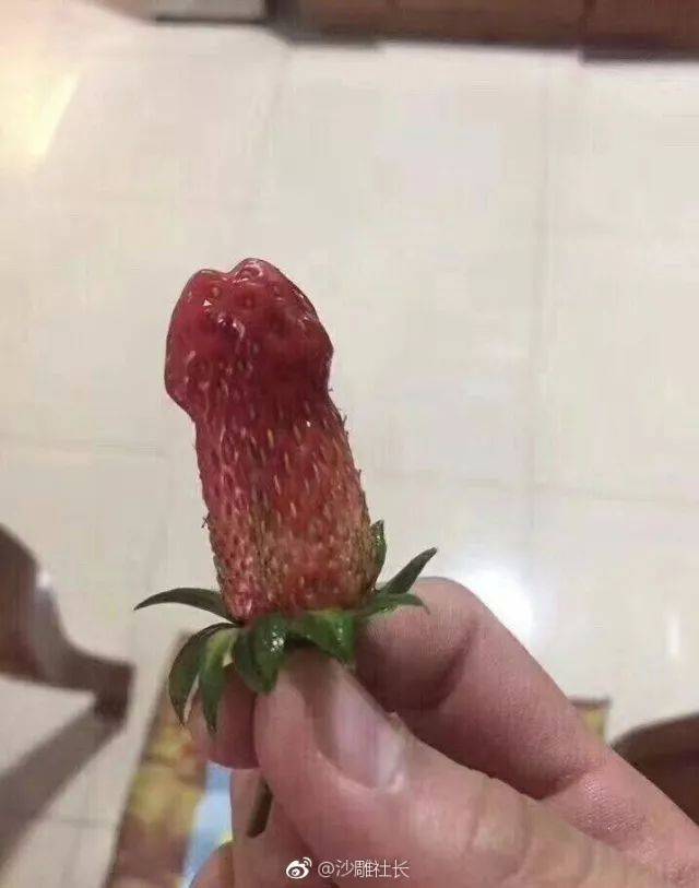 被这些网友们的评论污瞎了眼!