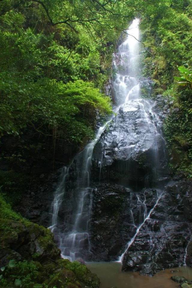 在最美最小的村莊遇見綠水青山……【我們村的這三年】專題系列報道之