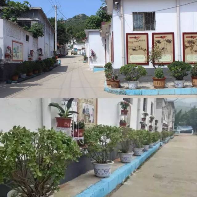 【她之声·聚焦】济南市妇联调研南山区"出彩人家"创建工作