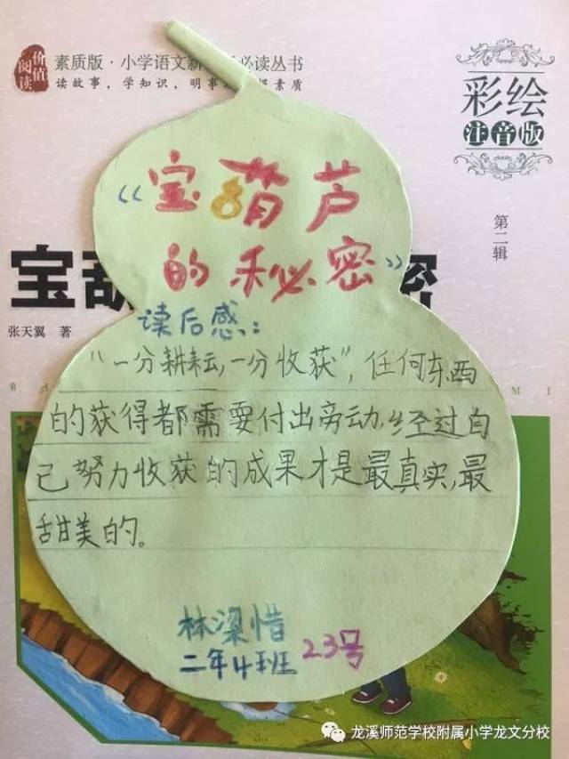 【附小分校悦读吧】第07期|《宝葫芦的秘密》