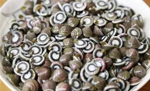 咱营口才有的特色海鲜,都吃过哪几样?