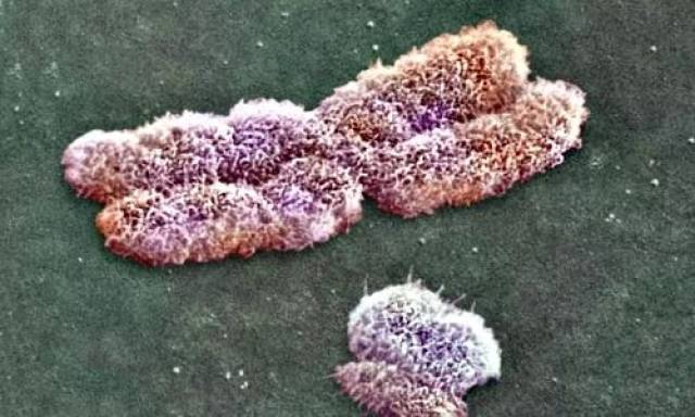 生男生女究竟由谁决定?远不止\