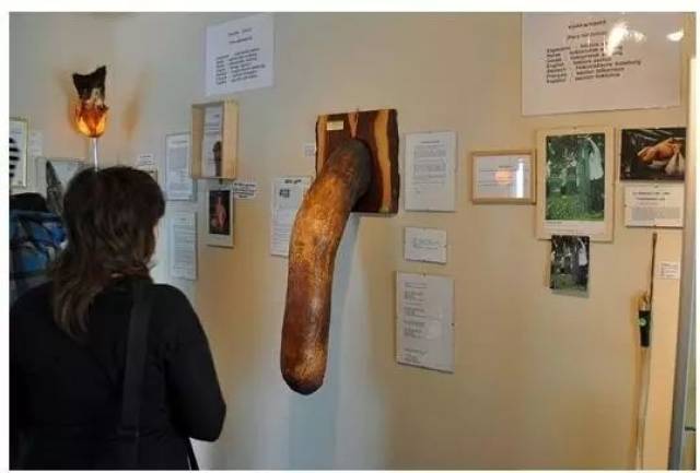 被实力圈粉!来看看冰岛究竟是个怎样的国家?看完不想去算我输!