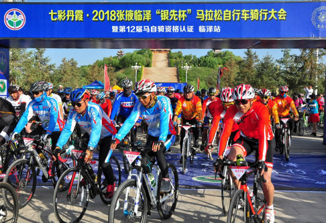 甘肃批发货源市场洞察与探索