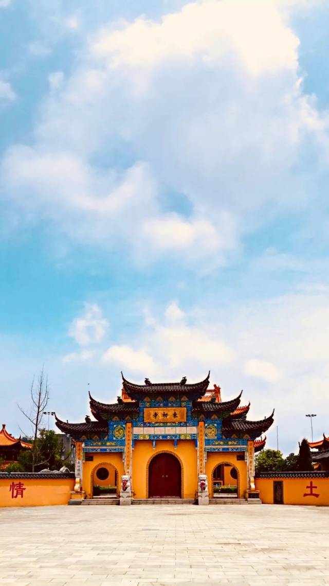 如东东初寺的小和尚刷爆朋友圈!
