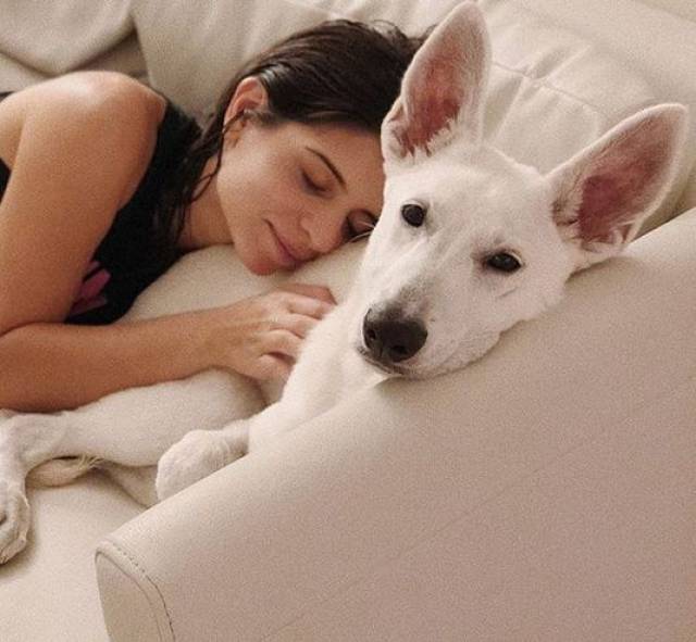 turcsan教授说:"人和狗之间的关系是非常特殊的,它们不仅仅是宠物