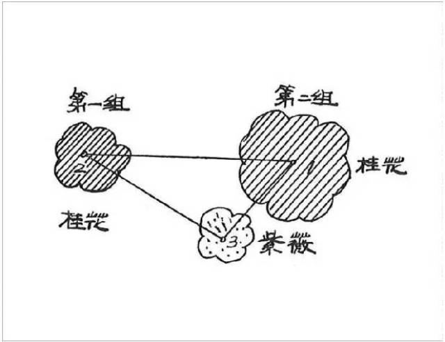 四株丛植平面图,四株丛植,七株植物丛植(第7页)_大山谷图库
