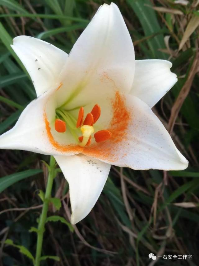 在深圳,企业不做安全承诺有什么风险?