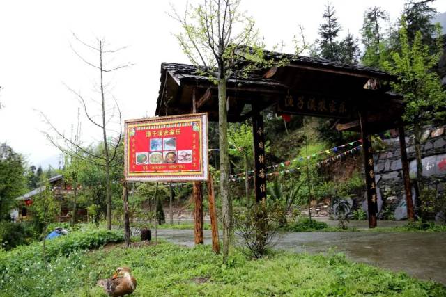 乡镇动态|映秀镇渔子溪村扎实开展环境卫生整治助力省级"四好村"创建!