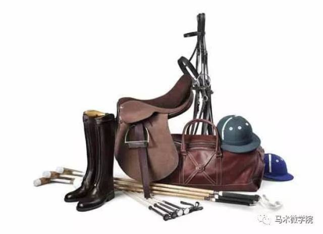 初学马术——装备上你都要注意些什么