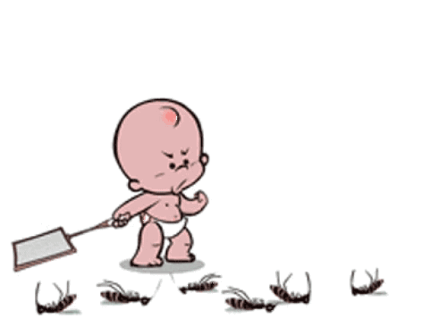 根据种类下药方,蚊子,蟑螂,苍蝇,一杀一个准!