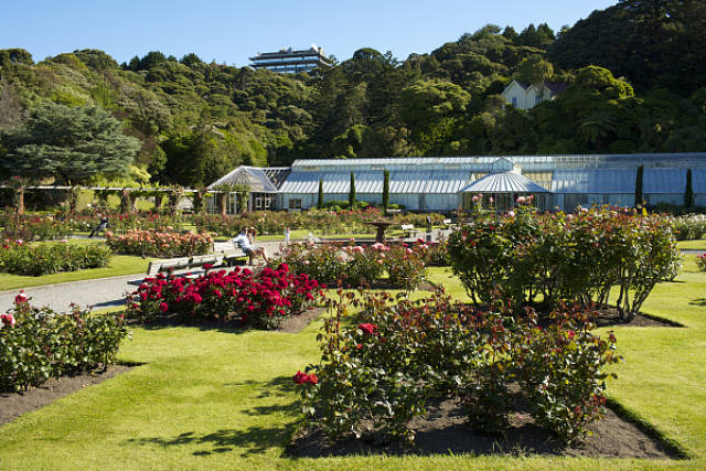 惠灵顿植物园:国际植物"大观园"