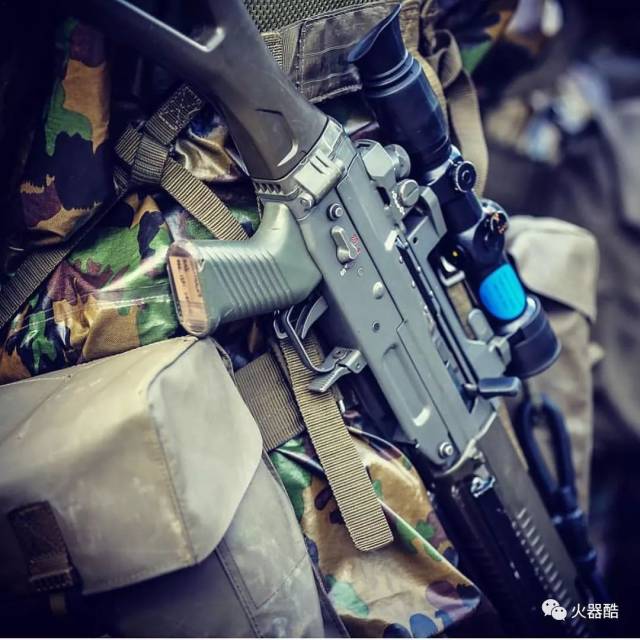 【精工打造】瑞士swissarms公司sig 55x系列步枪图集