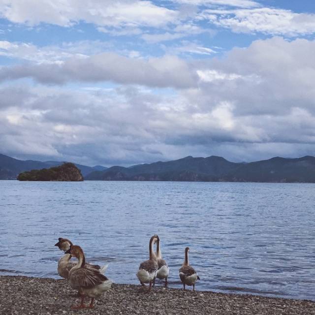 帶著閨蜜去雲南遊山玩水,拍不一樣的閨蜜照