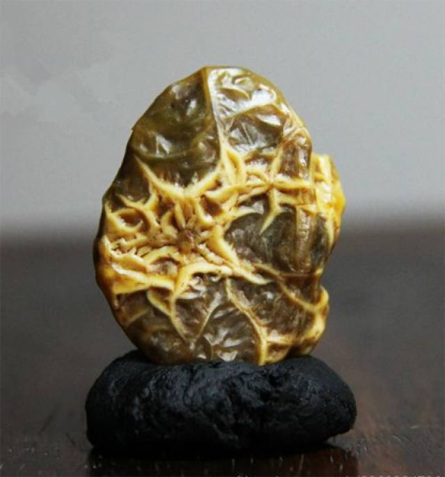 緑色の内蒙古瑪瑙・眼睛石・24g（中国産鉱物標本） - 科学、自然