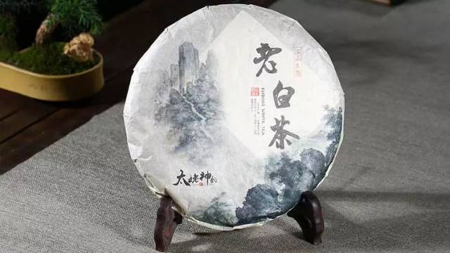 大圣说壶第36期:紫砂泡白茶,现场实测