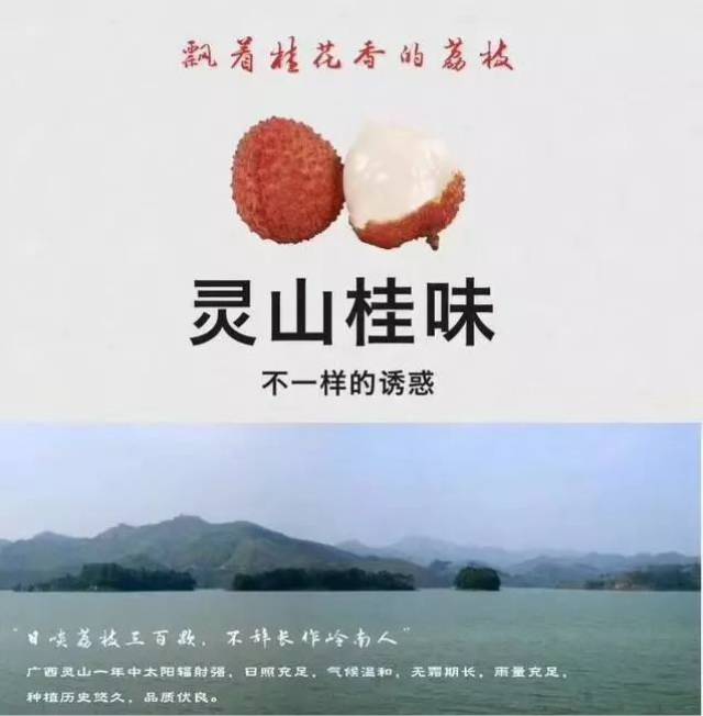 今天 税团君为大家带来广西灵山荔枝团购~ 广西灵山县享有 "中国荔枝