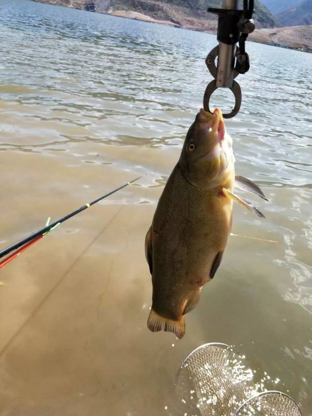 祥雲一小夥痴迷於釣魚,卻被眼光逼得投入大海!