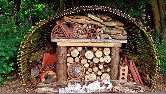 自然探究 | 昆虫生态旅馆博物课程