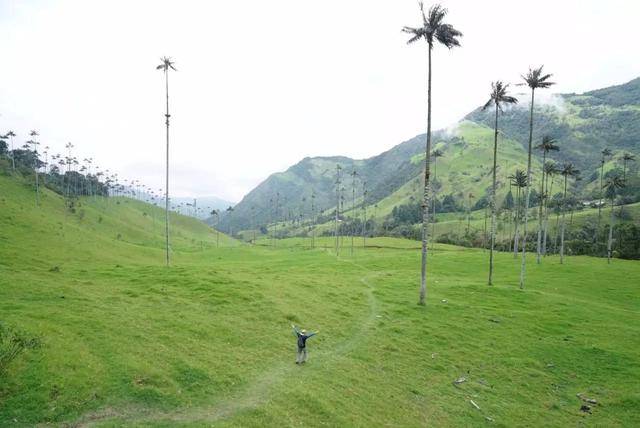 哥伦比亚是个怎样的国家:说西语的比例比西班