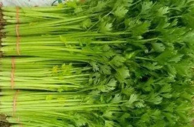 足球反买,别墅靠海?买球需谨慎,还是给自己置