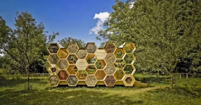 自然探究 | 昆虫生态旅馆博物课程