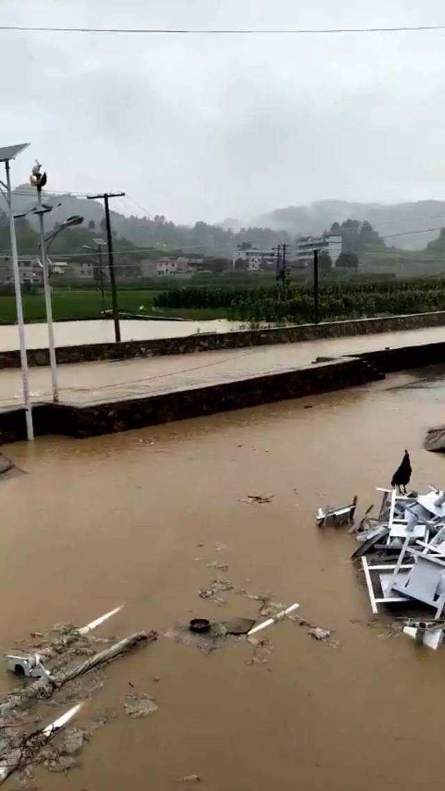 一夜暴雨,凯里多地出现积水 炉山隧道边坡垮塌