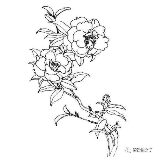 甜蜜的忧伤 | 一个人的城_手机搜狐网