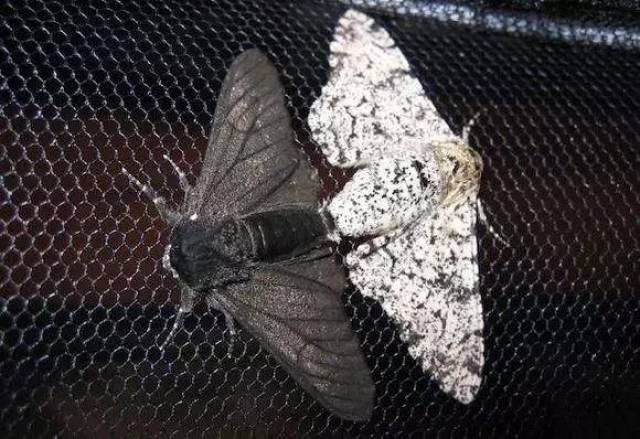 「游戏成瘾」是病吗?